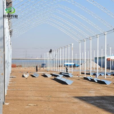 100% Blackout Automatic Light Deprivation Greenhouse voor Canada / VS Vraag om een monster