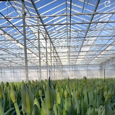 Multi-Span schaduwscherm systeem Glas kas Pakket Grootte 50,00cm * 60,00cm * 80,00cm
