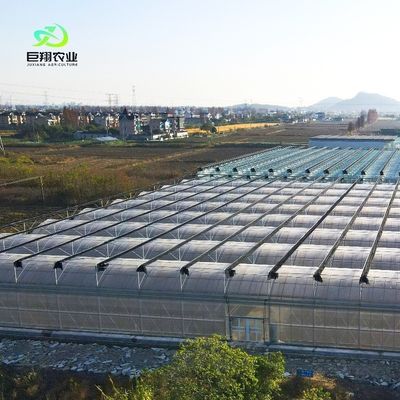 Op maat gemaakte multi-span film kas voor hydroponische tomaten/komkommers/pepers/aardbeien