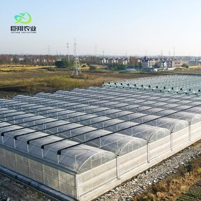Op maat gemaakte multi-span film kas voor hydroponische tomaten/komkommers/pepers/aardbeien