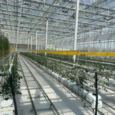 Multi-Span schaduwscherm systeem Glas kas Pakket Grootte 50,00cm * 60,00cm * 80,00cm
