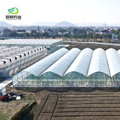 Op maat gemaakte multi-span film kas voor hydroponische tomaten/komkommers/pepers/aardbeien