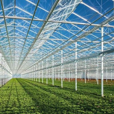 US 20 per vierkante meter Ju Xiang glazen kas voor de teelt van groenten Volledige betaling