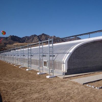 JX-Arch Groenhuis voor Tomaten-Aardbeien Hydroponische Teelt