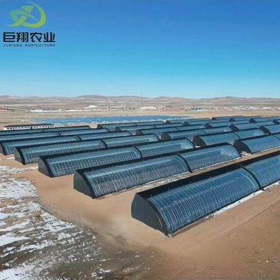 JX-Arch Groenhuis voor Tomaten-Aardbeien Hydroponische Teelt