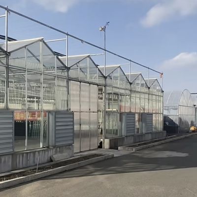 Eenlaagglaskas voor tuinbouw op maat van uw behoeften