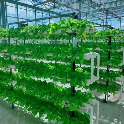 Eenlaagglaskas voor tuinbouw op maat van uw behoeften