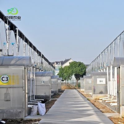 8m 9,6m 12m maatwerk Span Film Plastic Landbouw met Hydroponics Groei systeem