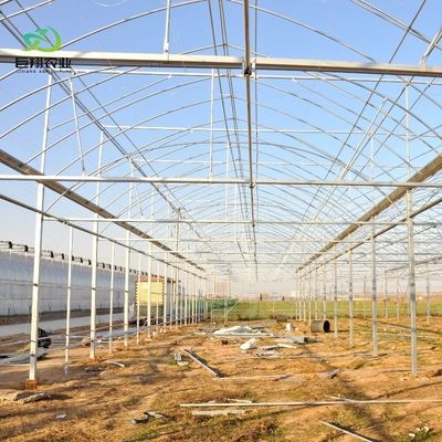 8m 9,6m 12m maatwerk Span Film Plastic Landbouw met Hydroponics Groei systeem