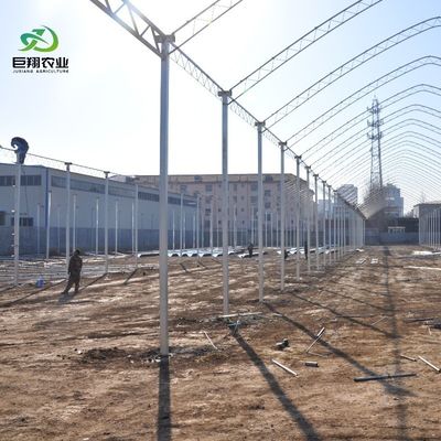 8m 9,6m 12m maatwerk Span Film Plastic Landbouw met Hydroponics Groei systeem