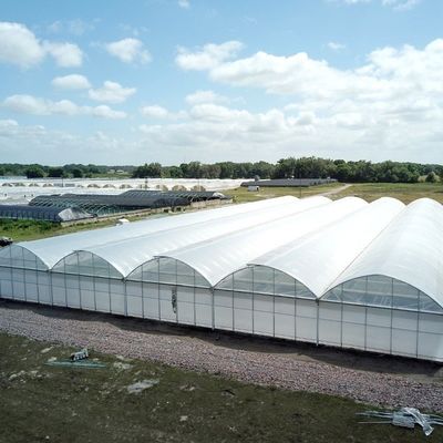 8m 9,6m 12m maatwerk Span Film Plastic Landbouw met Hydroponics Groei systeem