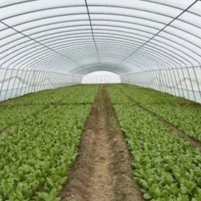 Aluminiumframe glazen tuinkas Victoriaanse commerciële kas voor groenten