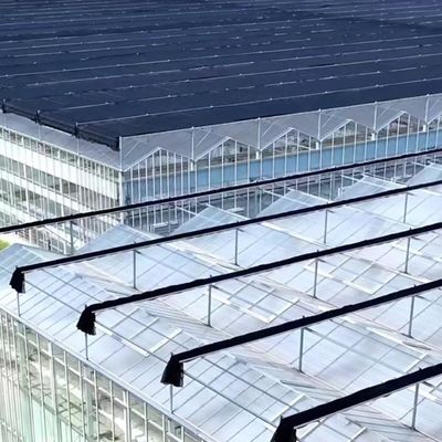 Float glas kas voor de teelt van planten Pakket Grootte 50,00cm * 60,00cm * 80,00cm