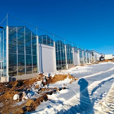 Float glas kas voor de teelt van planten Pakket Grootte 50,00cm * 60,00cm * 80,00cm