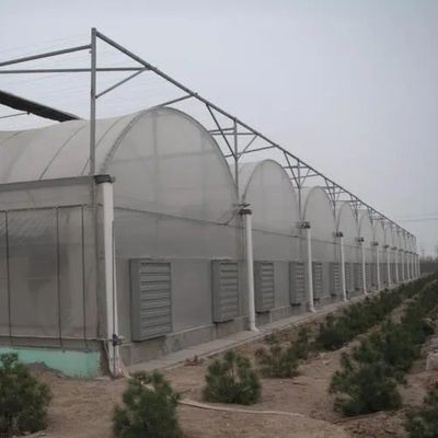 Hydroponische irrigatiesysteem voor aardbeien/bloemen/groenten Multi-Span Frame Steel Galvanized Plastic
