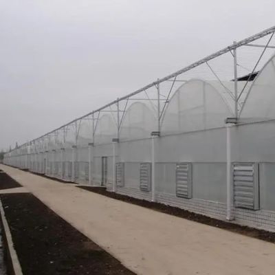 Hydroponische irrigatiesysteem voor aardbeien/bloemen/groenten Multi-Span Frame Steel Galvanized Plastic