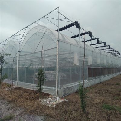 Hydroponische irrigatiesysteem voor aardbeien/bloemen/groenten Multi-Span Frame Steel Galvanized Plastic