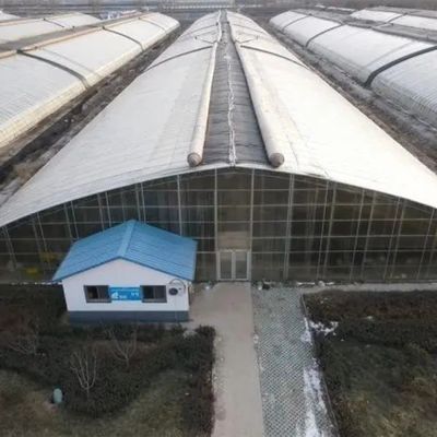 Hot-DIP gegalvaniseerde stalen buisstructuur Multi-Span kas voor hydroponisch systeem en verschillende gewassen