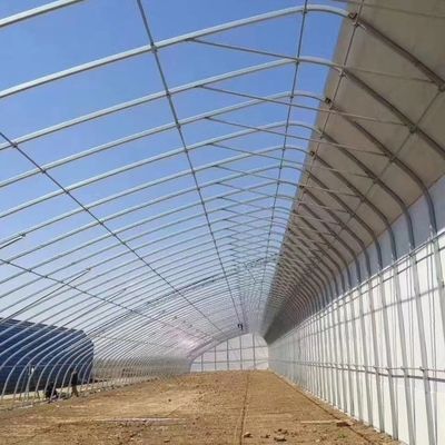Hot-DIP gegalvaniseerde stalen buisstructuur Multi-Span kas voor hydroponisch systeem en verschillende gewassen