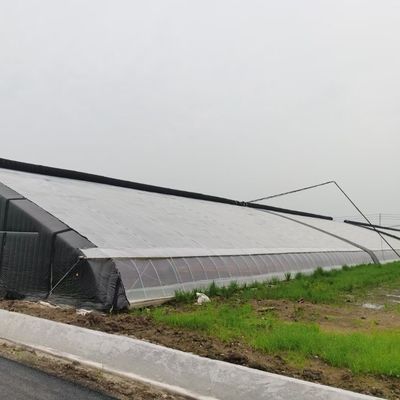 Hot-DIP gegalvaniseerde stalen buisstructuur Multi-Span kas voor hydroponisch systeem en verschillende gewassen