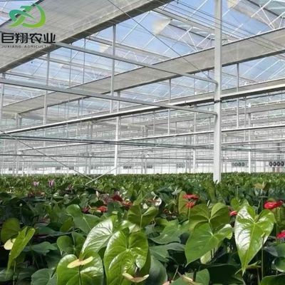Zonnestralen Multispan Hydroponics Plastic Film Greenhouse voor commerciële boerderij