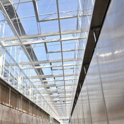 Zonnestralen Multispan Hydroponics Plastic Film Greenhouse voor commerciële boerderij