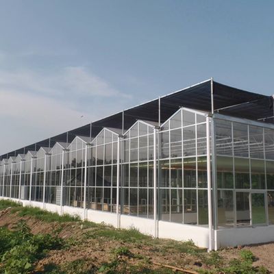 Zonnestralen Multispan Hydroponics Plastic Film Greenhouse voor commerciële boerderij