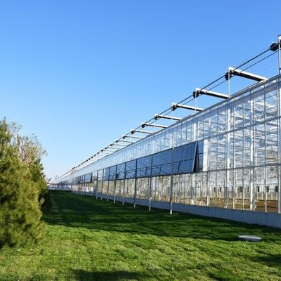 Zonnestralen Multispan Hydroponics Plastic Film Greenhouse voor commerciële boerderij