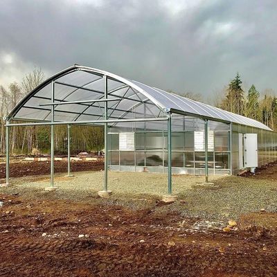 Multispan hydroponics Plastic Film Landbouwgreenhouse voor commerciële boerderij