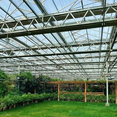 JX-A00126 Groenhuis met een enkele glaslaag voor duurzame groei 100.000 kg bruto gewicht