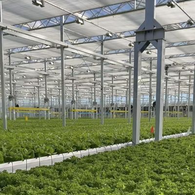 Grote glazen kassen oase milieuvriendelijke oplossing voor plantenverbouwing