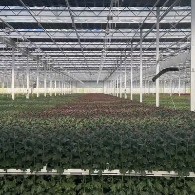 Grote glazen kassen oase milieuvriendelijke oplossing voor plantenverbouwing