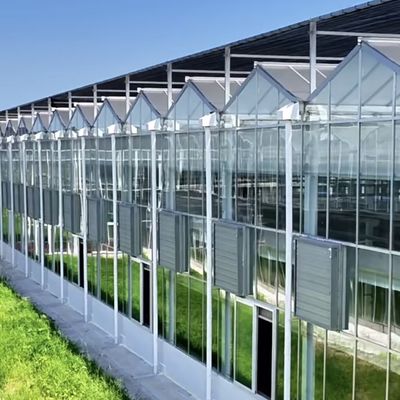 Groente- en bloemenhuis 50.00cm * 60.00cm * 80.00cm Pakketgrootte