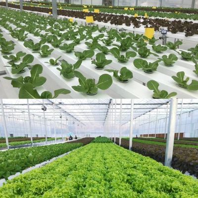 Bouwmaterialen Staalstructuur Grote grootte Tuinbouw Kas met glazen dak