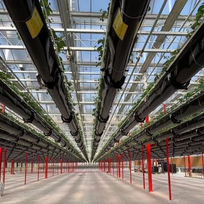Bouwmaterialen Staalstructuur Grote grootte Tuinbouw Kas met glazen dak