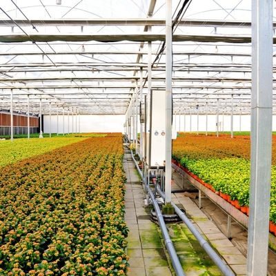 Bouwmaterialen Staalstructuur Grote grootte Tuinbouw Kas met glazen dak