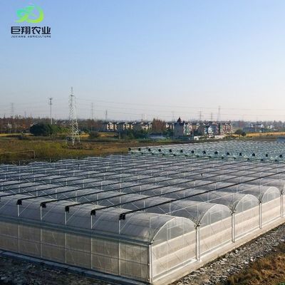 PE dakkasten voor groenten Tomaten Komkommers Aardbeien Veelzijdig en aanpasbaar