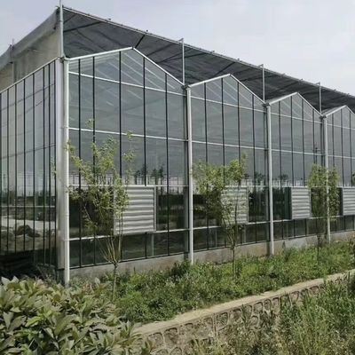 Doppellagig kaskap met goede lichtdoorstraling en multi-spanfunctie