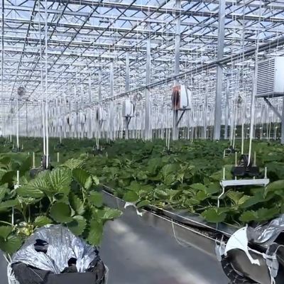 Doppellagig kaskap met goede lichtdoorstraling en multi-spanfunctie