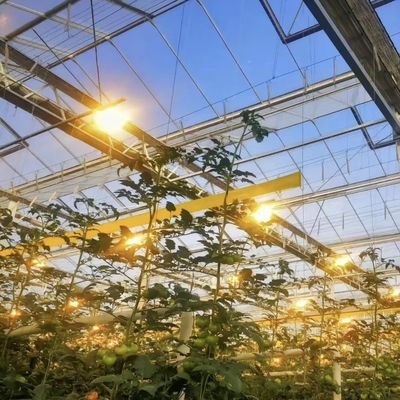 Concurrerend aanvangsbedrag kas voor botanische oase omheining een type dak