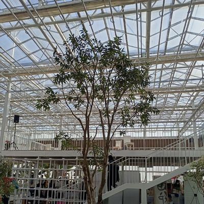 Groentehuis met goede lichttransmissie Pakket Grootte 50,00cm * 60,00cm * 80,00cm