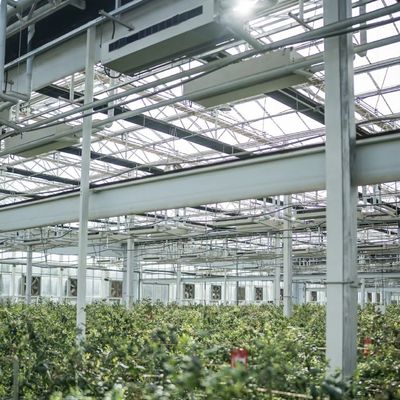 Groentehuis met goede lichttransmissie Pakket Grootte 50,00cm * 60,00cm * 80,00cm