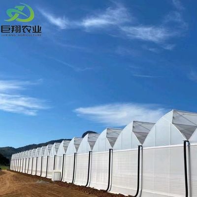 Multi-span/single-span kas voor tomaten aardbeien Plastic film/glas/polycarbonaat