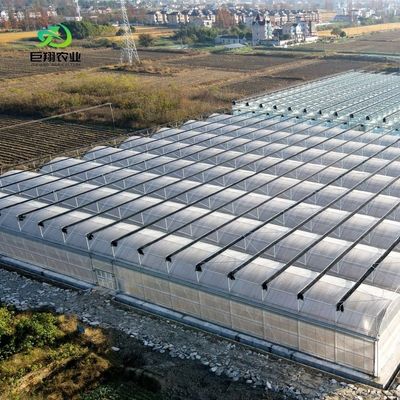 Multi-span/single-span kas voor tomaten aardbeien Plastic film/glas/polycarbonaat