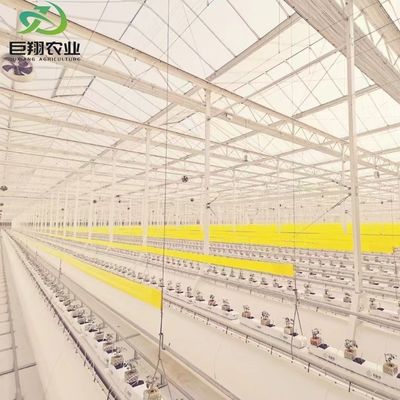 Multi-span/single-span kas voor tomaten aardbeien Plastic film/glas/polycarbonaat