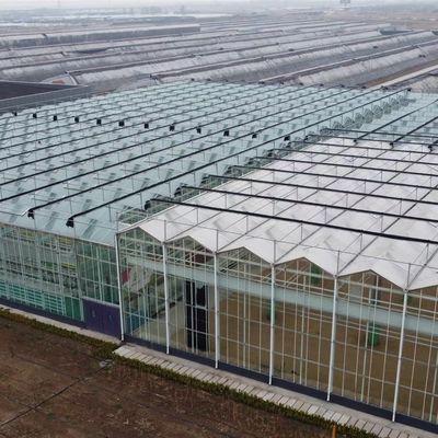Grote hydroponische kassen met een bruto gewicht van 100.000 kg