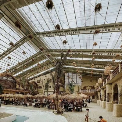 Glaskas met hydroponisch systeem Duurzaam glazen deksel en betaalbare verzending