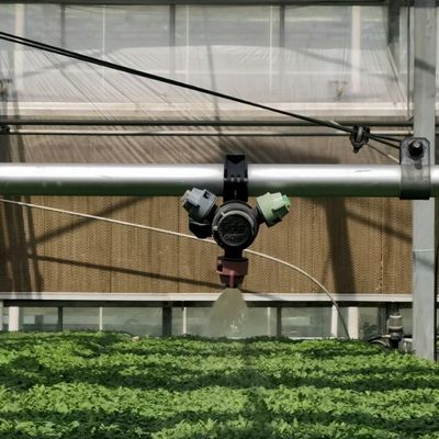 Pakket Grootte 50.00cm * 60.00cm * 80.00cm Glas kas voor bloemen hydroponics
