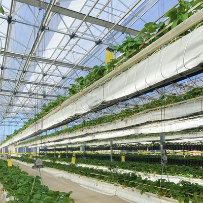 Pakket Grootte 50.00cm * 60.00cm * 80.00cm Glas kas voor bloemen hydroponics