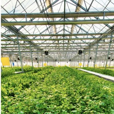 Hydroponische glazen kas voor de bloementeelt 30 dagen teruggave een type dak terugbetaalt